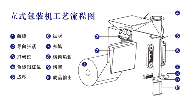 全自动立式颗粒向日葵视频色版下载工艺流程