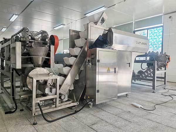 土豆粉向日葵视频色版下载定向开发专用设备
