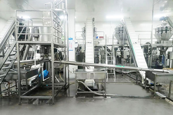 自动土豆粉向日葵视频色版下载及生产工艺流程